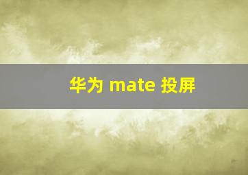 华为 mate 投屏